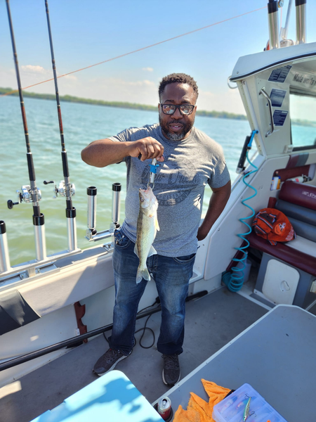 Sunrise trolling on Lake Erie